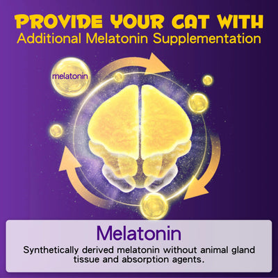 Sleep Support Drops for Cats – Calm Anxiety, End Restlessness & Help Them Sleep Like a Baby Lion  100% Natural Liquid with Melatonin + Valerian + Ashwagandha  Easy-to-use drops that kick in fast & calm even the most anxious kitty