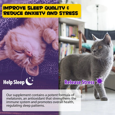 Sleep Support Drops for Cats – Calm Anxiety, End Restlessness & Help Them Sleep Like a Baby Lion  100% Natural Liquid with Melatonin + Valerian + Ashwagandha  Easy-to-use drops that kick in fast & calm even the most anxious kitty